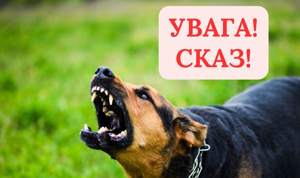 сказ