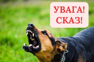 28 вересня – Всесвітній день боротьби зі сказом